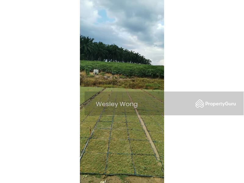 Residential Land for Sale in Ipoh (Perak) - Wesley Wong - PropertyGuru.com.my