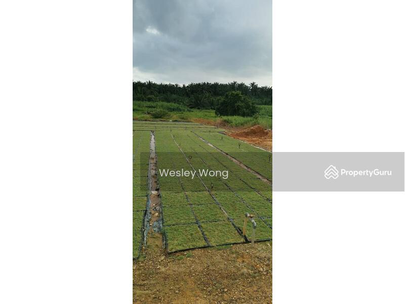 Residential Land for Sale in Ipoh (Perak) - Wesley Wong - PropertyGuru.com.my