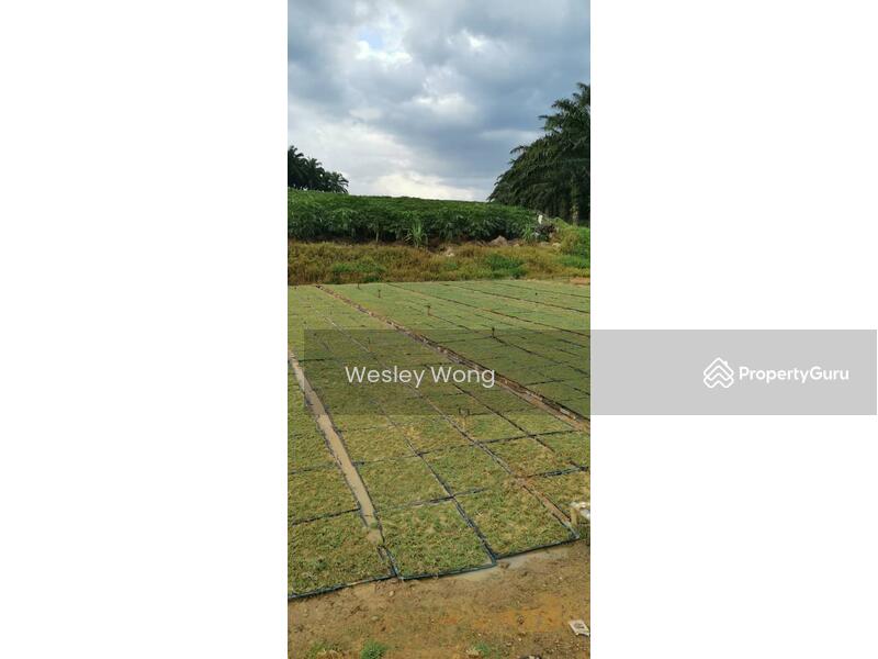 Residential Land for Sale in Ipoh (Perak) - Wesley Wong - PropertyGuru.com.my