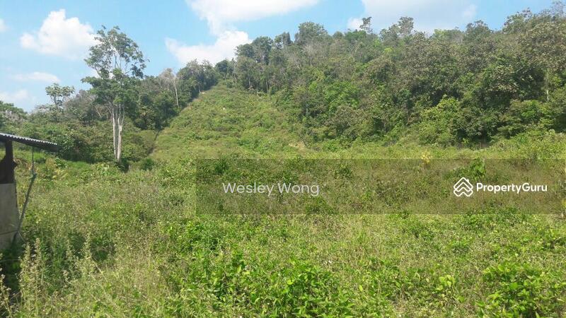 Residential Land for Sale in Ipoh (Perak) - Wesley Wong - PropertyGuru.com.my