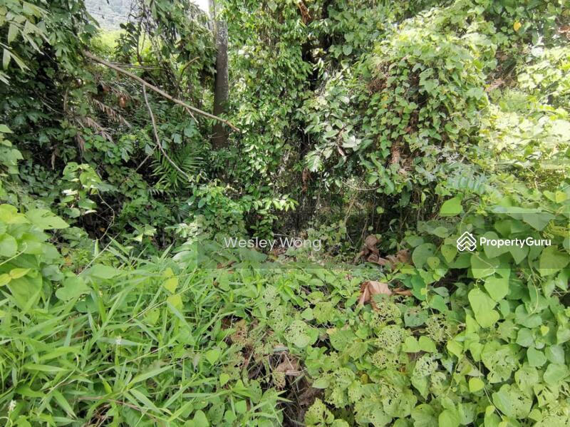 Residential Land for Sale in Ipoh (Perak) - Wesley Wong - PropertyGuru.com.my