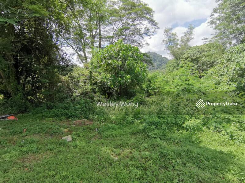 Residential Land for Sale in Ipoh (Perak) - Wesley Wong - PropertyGuru.com.my
