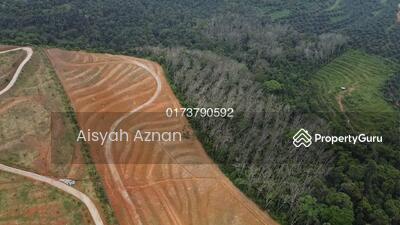 Rahasia Kesuburan Tanah Pertanian Malaysia Vlog Pertanian Youtube