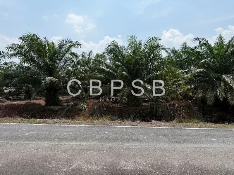 Tanah Pertanian untuk Dijual di Batu Pahat (Johor) - NGO - PropertyGuru.com.my