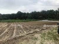 For Rent - jamaluang, mersing