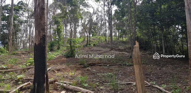 Tanah Pertanian untuk Dijual di Tanjung Malim (Perak) - Azimi Muhamad - PropertyGuru.com.my
