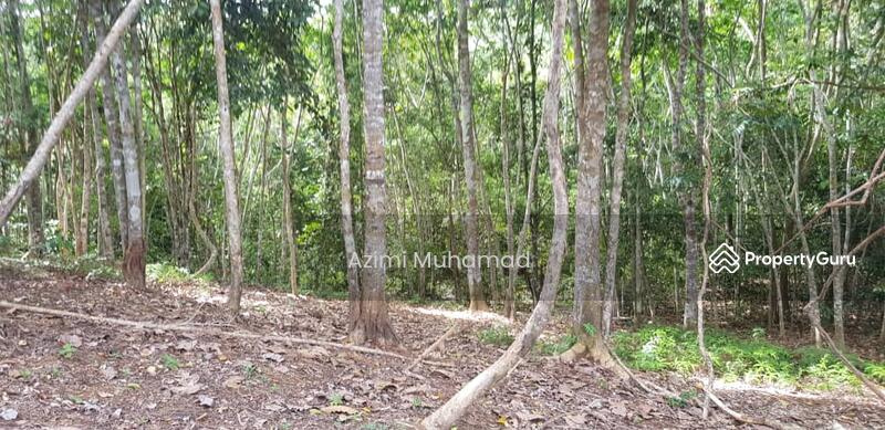 Tanah Pertanian untuk Dijual di Tanjung Malim (Perak) - Azimi Muhamad - PropertyGuru.com.my