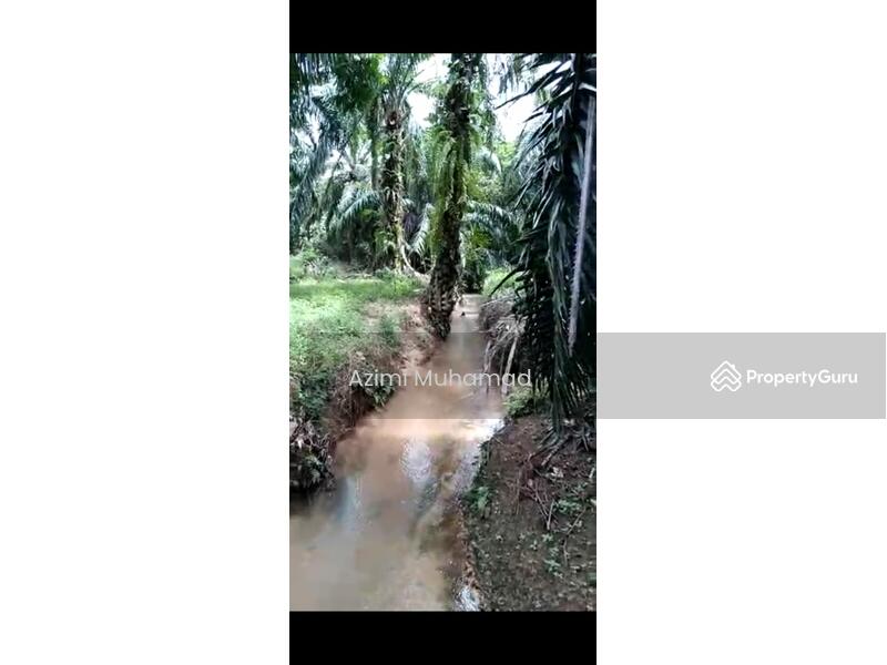 Tanah Pertanian untuk Dijual di Tanjung Malim (Perak) - Azimi Muhamad - PropertyGuru.com.my
