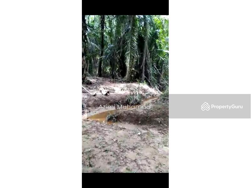 Tanah Pertanian untuk Dijual di Tanjung Malim (Perak) - Azimi Muhamad - PropertyGuru.com.my
