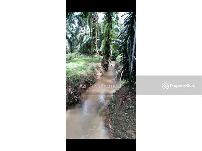 Tanah Pertanian untuk Dijual di Tanjung Malim (Perak) - Azimi Muhamad - PropertyGuru.com.my