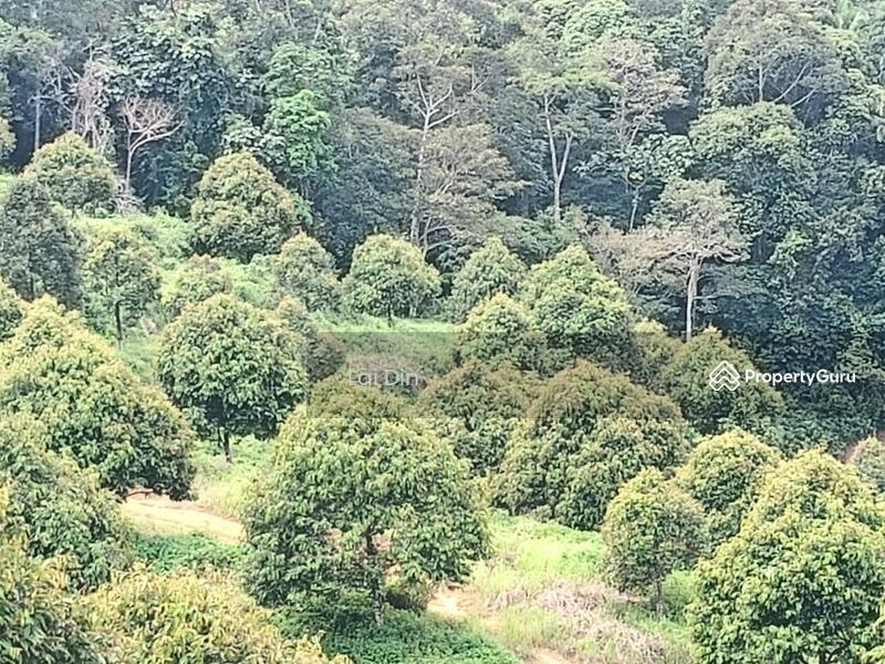 Tanah Pertanian untuk Dijual di Kampung Dong (Dong) - Lai Din - PropertyGuru.com.my
