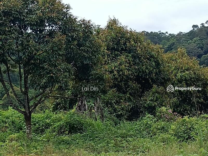 Tanah Pertanian untuk Dijual di Kampung Dong (Dong) - Lai Din - PropertyGuru.com.my