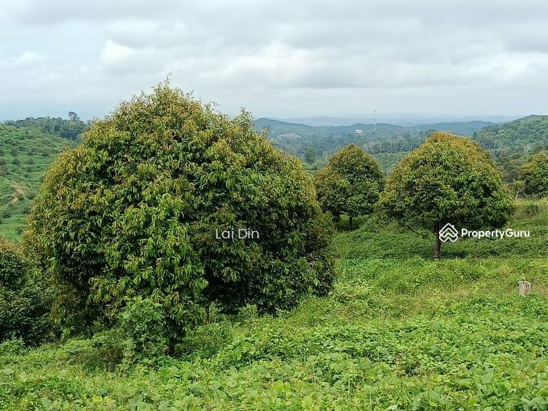 Tanah Pertanian untuk Dijual di Kampung Dong (Dong) - Lai Din - PropertyGuru.com.my