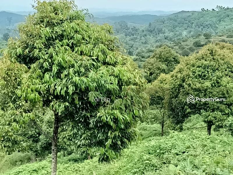 Tanah Pertanian untuk Dijual di Kampung Dong (Dong) - Lai Din - PropertyGuru.com.my