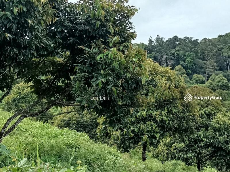 Tanah Pertanian untuk Dijual di Kampung Dong (Dong) - Lai Din - PropertyGuru.com.my