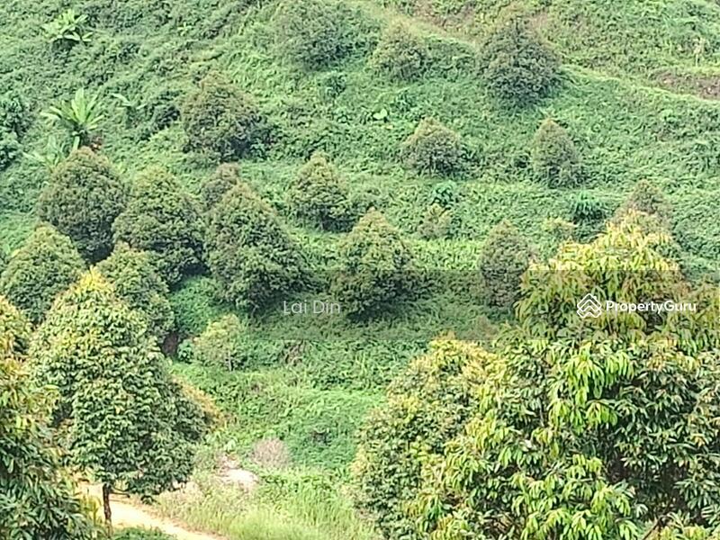 Tanah Pertanian untuk Dijual di Kampung Dong (Dong) - Lai Din - PropertyGuru.com.my