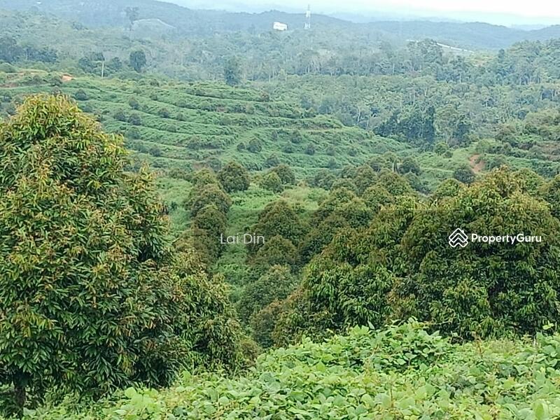 Tanah Pertanian untuk Dijual di Kampung Dong (Dong) - Lai Din - PropertyGuru.com.my
