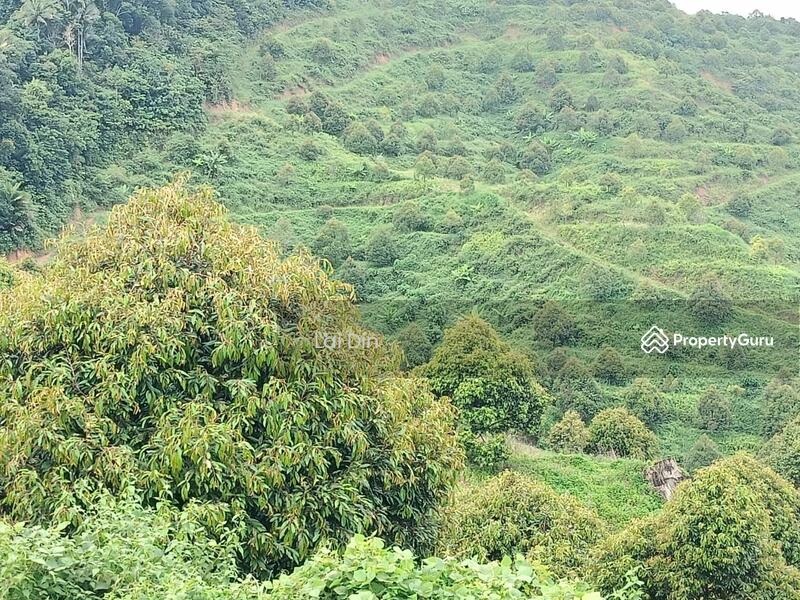 Tanah Pertanian untuk Dijual di Kampung Dong (Dong) - Lai Din - PropertyGuru.com.my