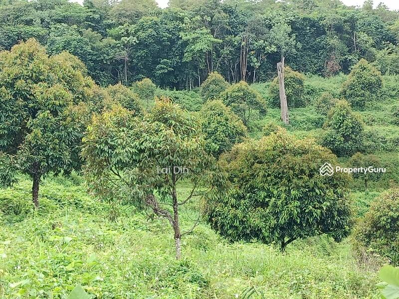 Tanah Pertanian untuk Dijual di Kampung Dong (Dong) - Lai Din - PropertyGuru.com.my