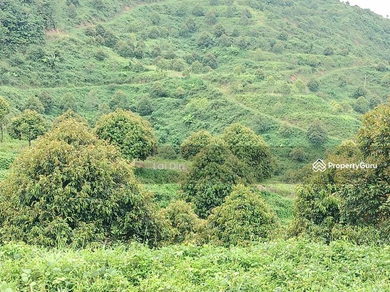 Tanah Pertanian untuk Dijual di Kampung Dong (Dong) - Lai Din - PropertyGuru.com.my