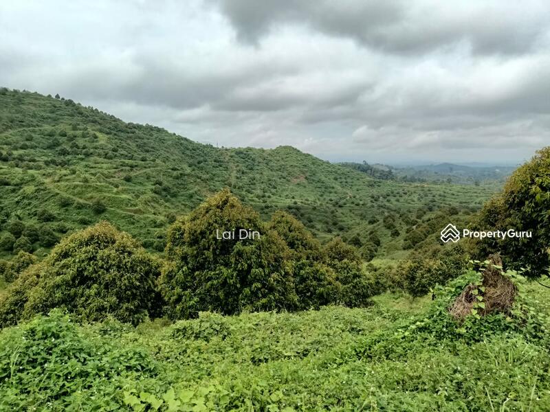 Tanah Pertanian untuk Dijual di Kampung Dong (Dong) - Lai Din - PropertyGuru.com.my