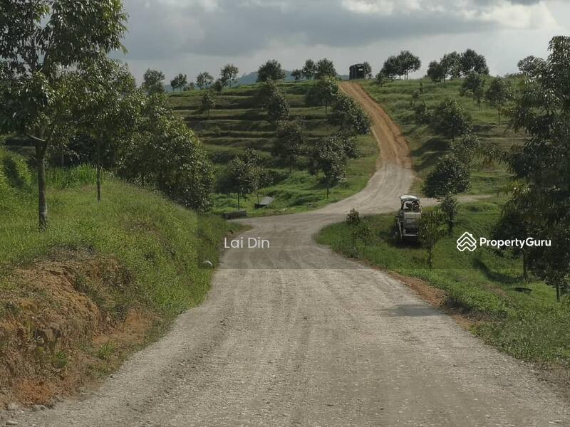 Tanah Pertanian untuk Dijual di Kampung Dong (Dong) - Lai Din - PropertyGuru.com.my