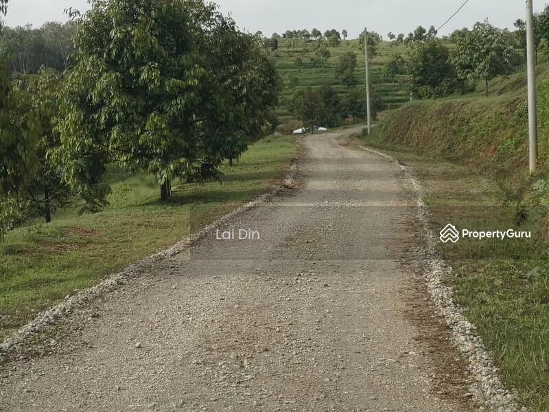 Tanah Pertanian untuk Dijual di Kampung Dong (Dong) - Lai Din - PropertyGuru.com.my