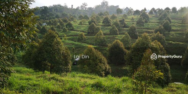 Tanah Pertanian untuk Dijual di Kampung Dong (Dong) - Lai Din - PropertyGuru.com.my