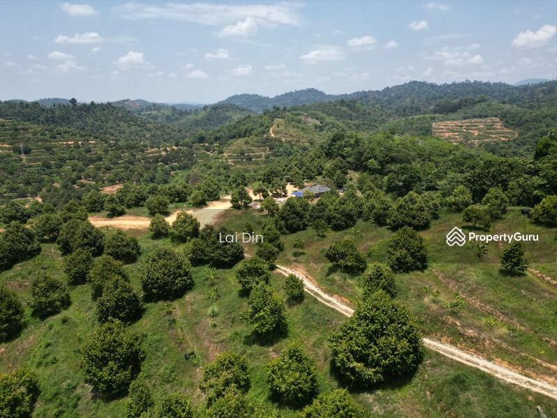 Tanah Pertanian untuk Dijual di Kampung Dong (Dong) - Lai Din - PropertyGuru.com.my