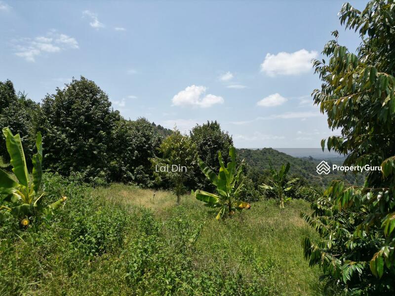 Tanah Pertanian untuk Dijual di Kampung Dong (Dong) - Lai Din - PropertyGuru.com.my