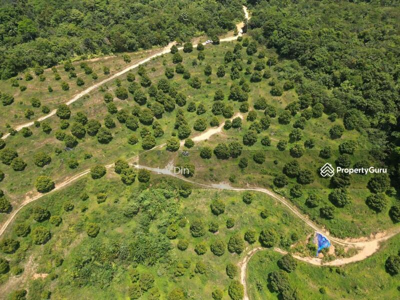 Tanah Pertanian untuk Dijual di Kampung Dong (Dong) - Lai Din - PropertyGuru.com.my