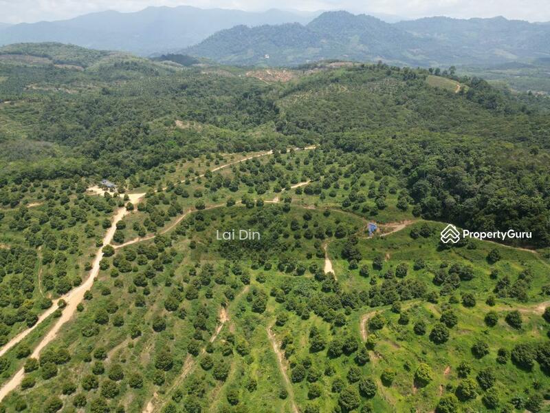 Tanah Pertanian untuk Dijual di Kampung Dong (Dong) - Lai Din - PropertyGuru.com.my