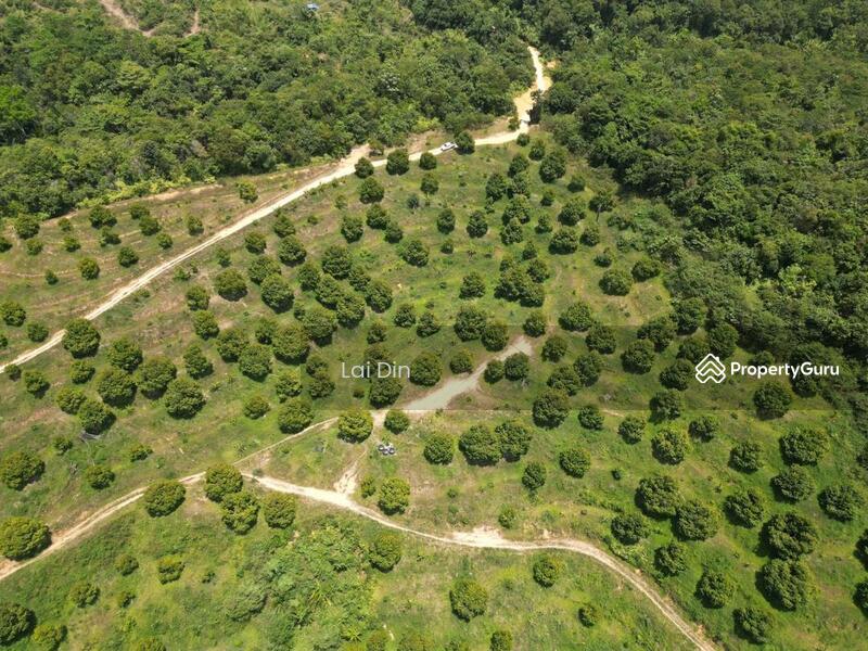 Tanah Pertanian untuk Dijual di Kampung Dong (Dong) - Lai Din - PropertyGuru.com.my