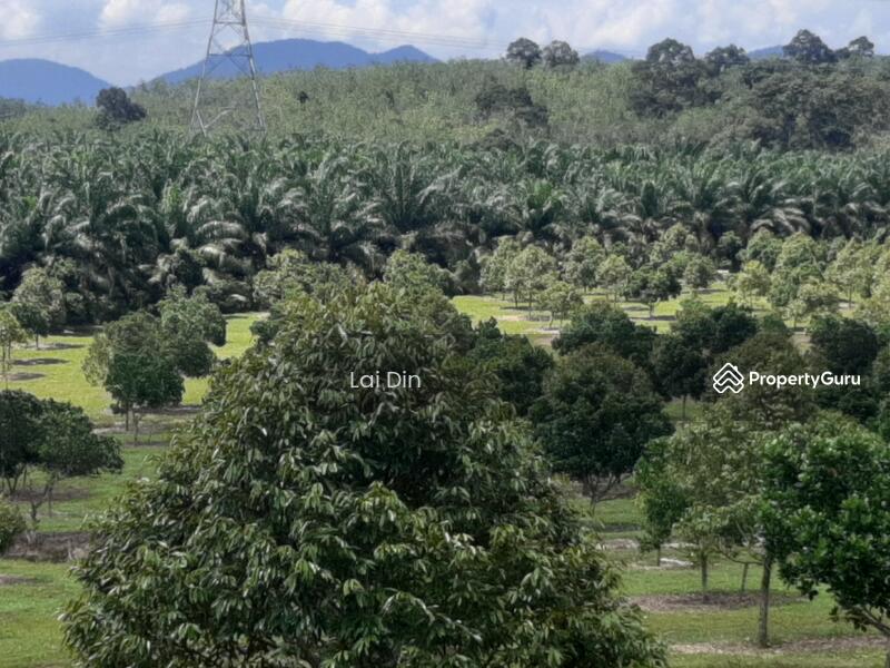 Tanah Pertanian untuk Dijual di Kampung Dong (Dong) - Lai Din - PropertyGuru.com.my