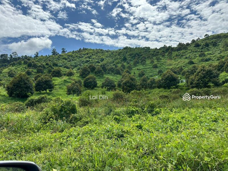 Tanah Pertanian untuk Dijual di Kampung Dong (Dong) - Lai Din - PropertyGuru.com.my