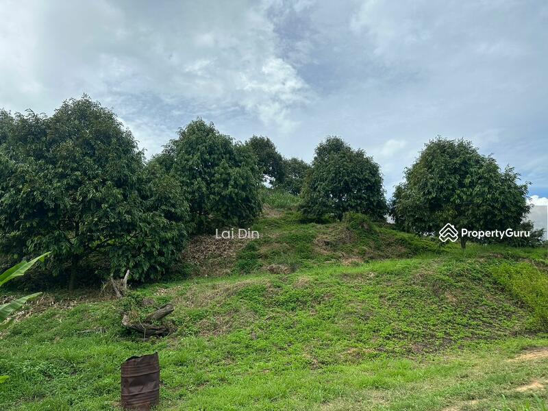 Tanah Pertanian untuk Dijual di Kampung Dong (Dong) - Lai Din - PropertyGuru.com.my
