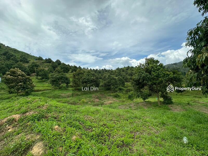 Tanah Pertanian untuk Dijual di Kampung Dong (Dong) - Lai Din - PropertyGuru.com.my