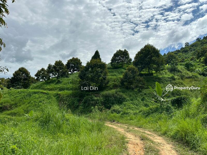 Tanah Pertanian untuk Dijual di Kampung Dong (Dong) - Lai Din - PropertyGuru.com.my