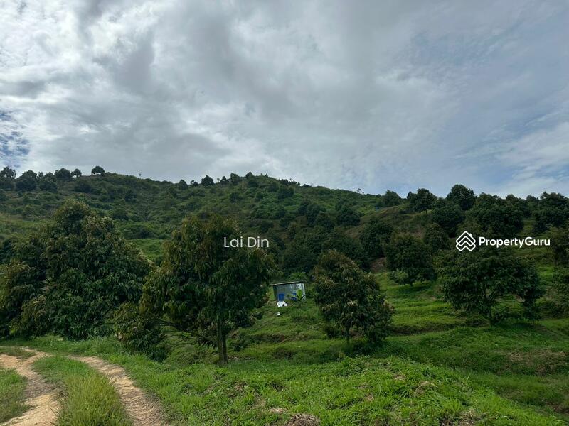 Tanah Pertanian untuk Dijual di Kampung Dong (Dong) - Lai Din - PropertyGuru.com.my