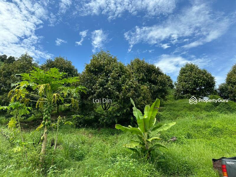 Tanah Pertanian untuk Dijual di Kampung Dong (Dong) - Lai Din - PropertyGuru.com.my