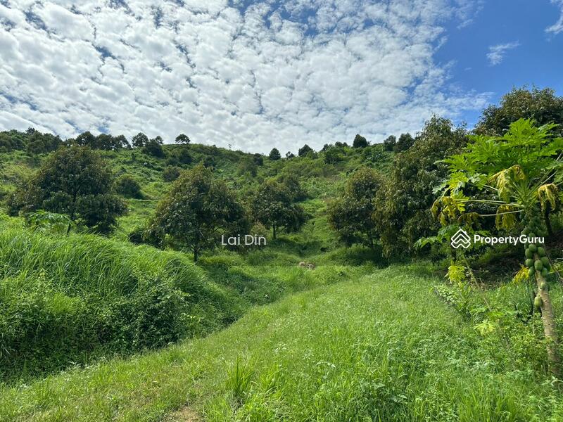 Tanah Pertanian untuk Dijual di Kampung Dong (Dong) - Lai Din - PropertyGuru.com.my