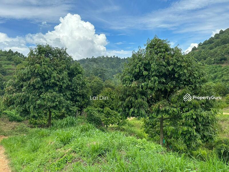 Tanah Pertanian untuk Dijual di Kampung Dong (Dong) - Lai Din - PropertyGuru.com.my