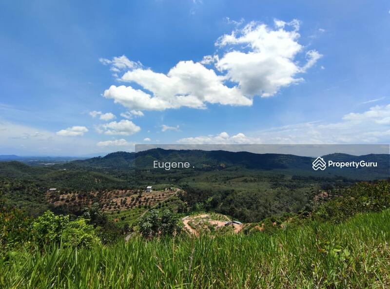 Residential Land for Sale in Karak (Pahang) - Eugene Yap - PropertyGuru.com.my