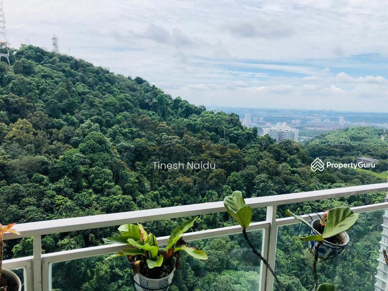 Untuk Dijual - Damansara Foresta