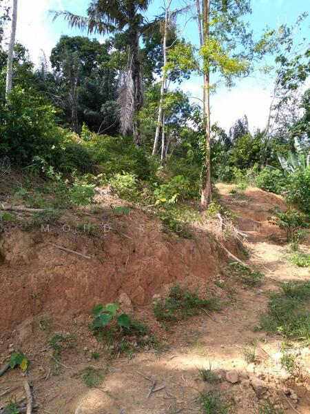 For Sale - Tanah bukit 3 ekar kuala pilah negeri sembilan