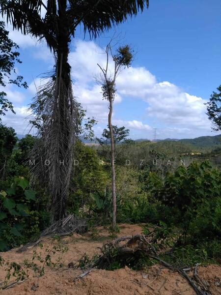 For Sale - Tanah bukit 3 ekar kuala pilah negeri sembilan