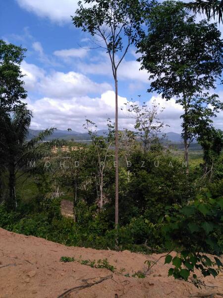 For Sale - Tanah bukit 3 ekar kuala pilah negeri sembilan