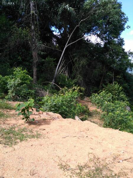 For Sale - Tanah bukit 3 ekar kuala pilah negeri sembilan