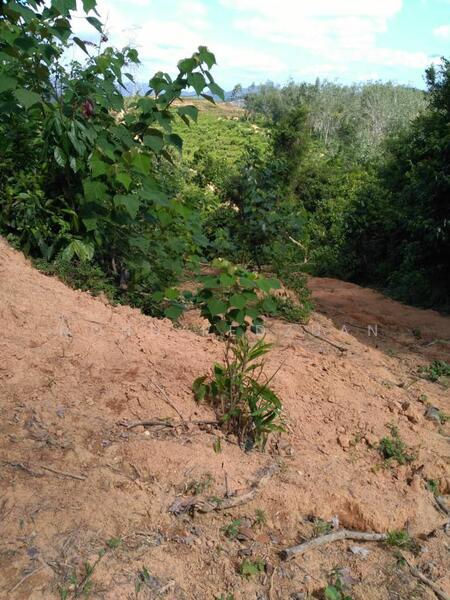 For Sale - Tanah bukit 3 ekar kuala pilah negeri sembilan