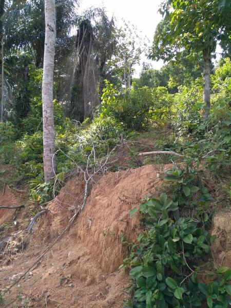 For Sale - Tanah bukit 3 ekar kuala pilah negeri sembilan